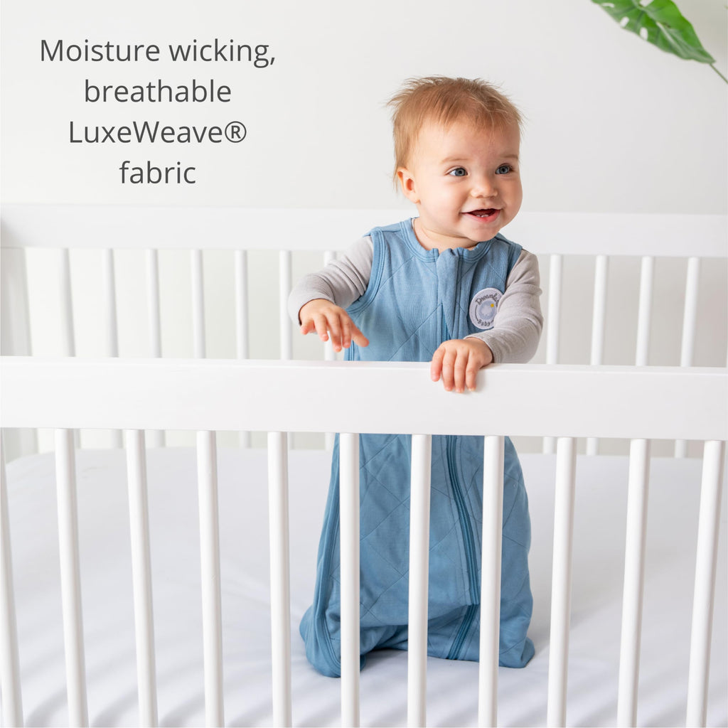 Dreamland Baby Lightweight Bamboo Viscose Sleep Sack (6-12 months). 1.0 TOG Ultra Soft Blanket w/ 2-Way Zipper. 95% Viscose, 5% Spandex (Mauve). Mom-Owned US Business, Premium Materials